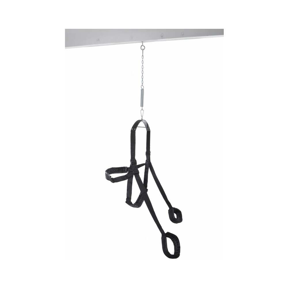 Fetish Fantasy Fantasy Swing-Black