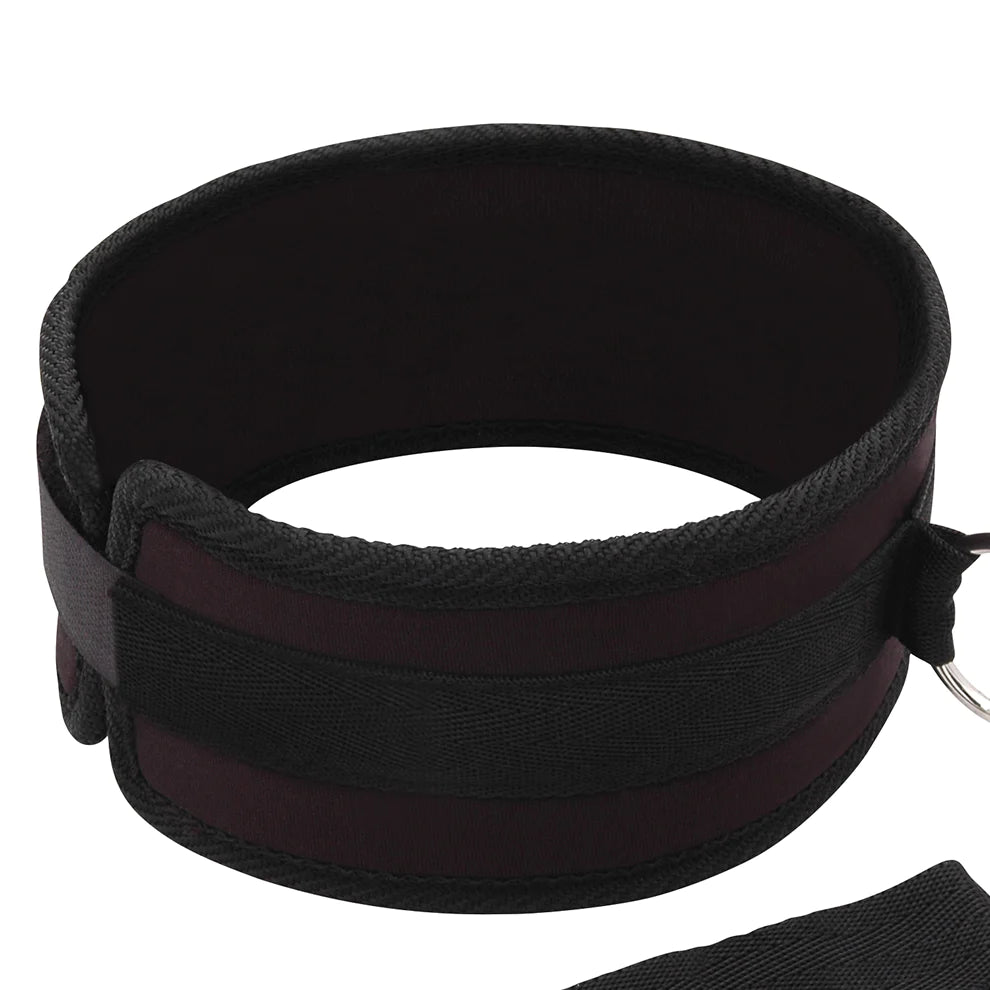 Lux Fetish Collar & Leash Set