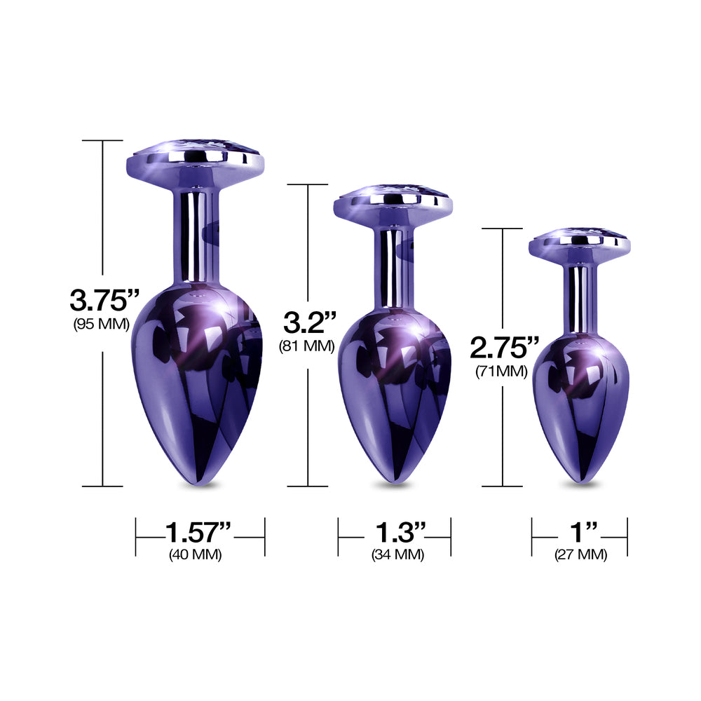 Nixie Metal Butt Plug Trainer Set w/Inlaid Jewel - Purple Metallic