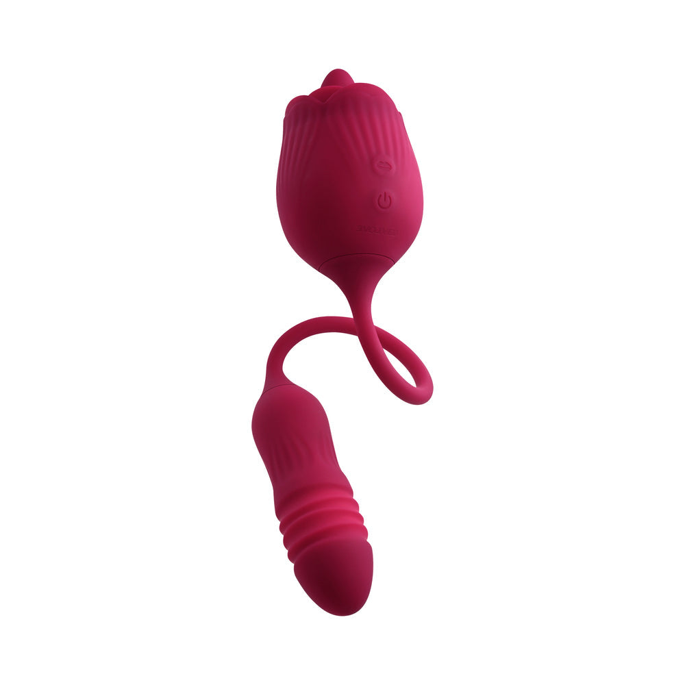 Evolved Wild Rose