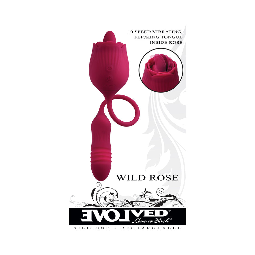 Evolved Wild Rose