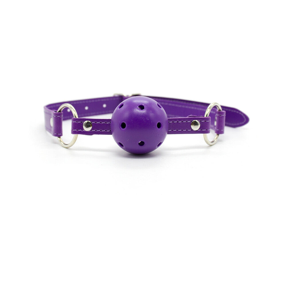 Plesur Everything Bondage 12 Piece Kit - Purple
