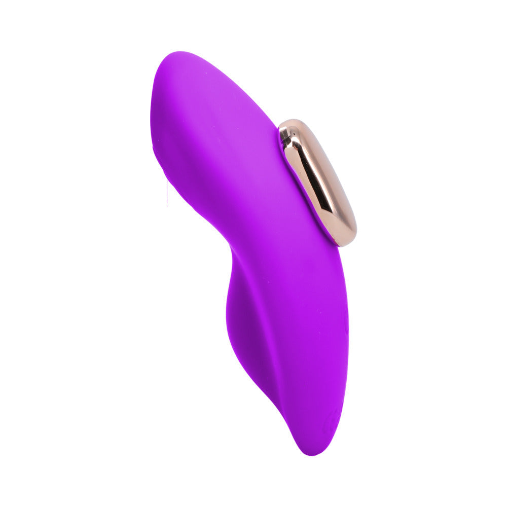 In A Bag Panty Vibe w/Remote - Purple