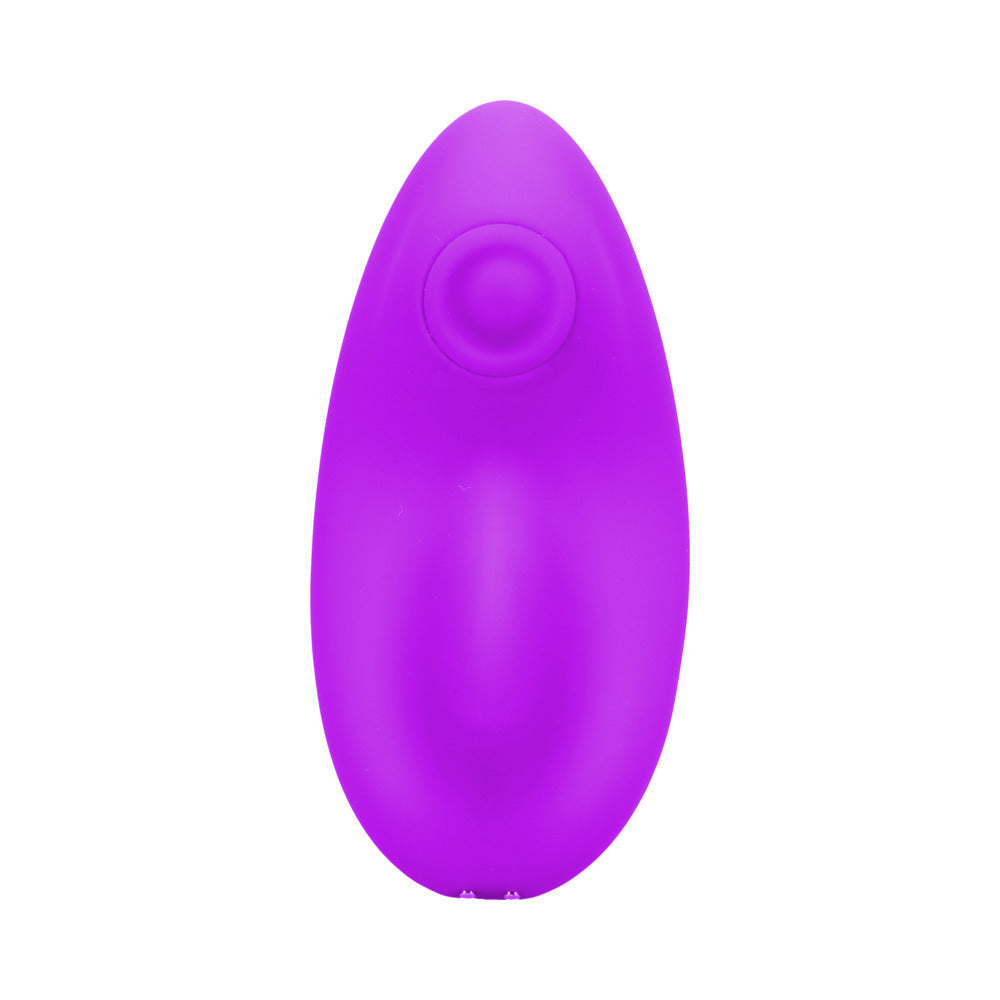 In A Bag Panty Vibe w/Remote - Purple
