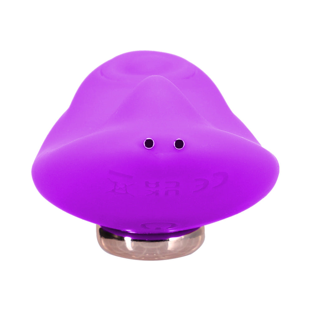 In A Bag Panty Vibe w/Remote - Purple