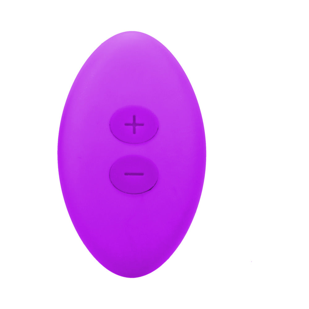 In A Bag Panty Vibe w/Remote - Purple