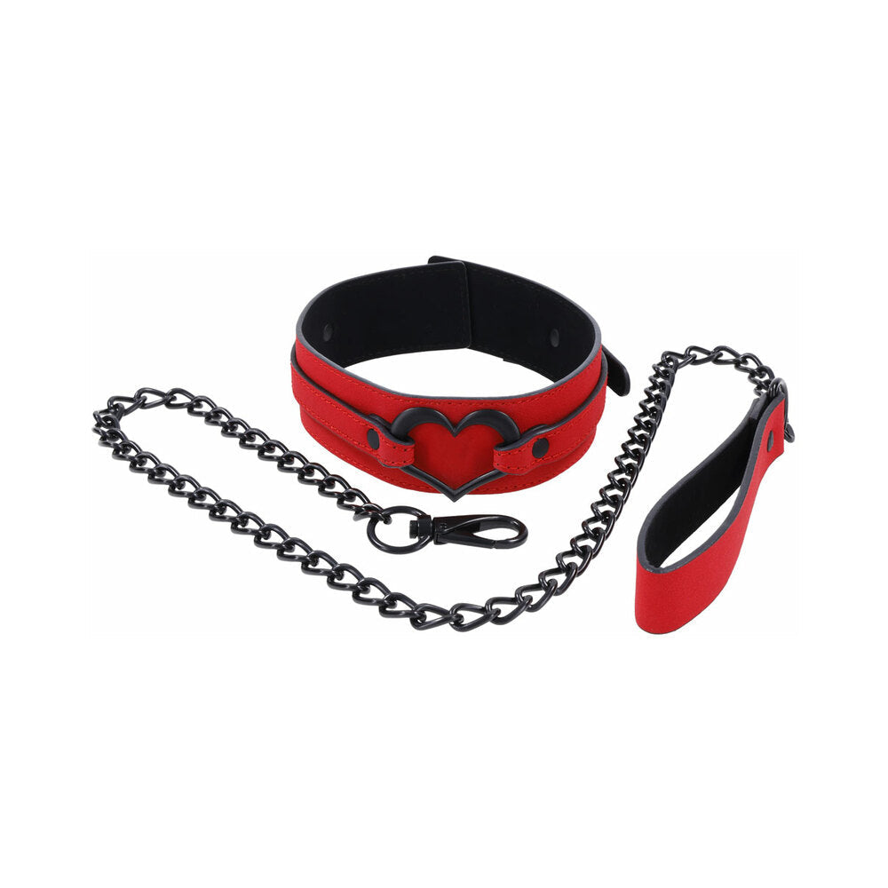 S&M Amor Collar and Leash