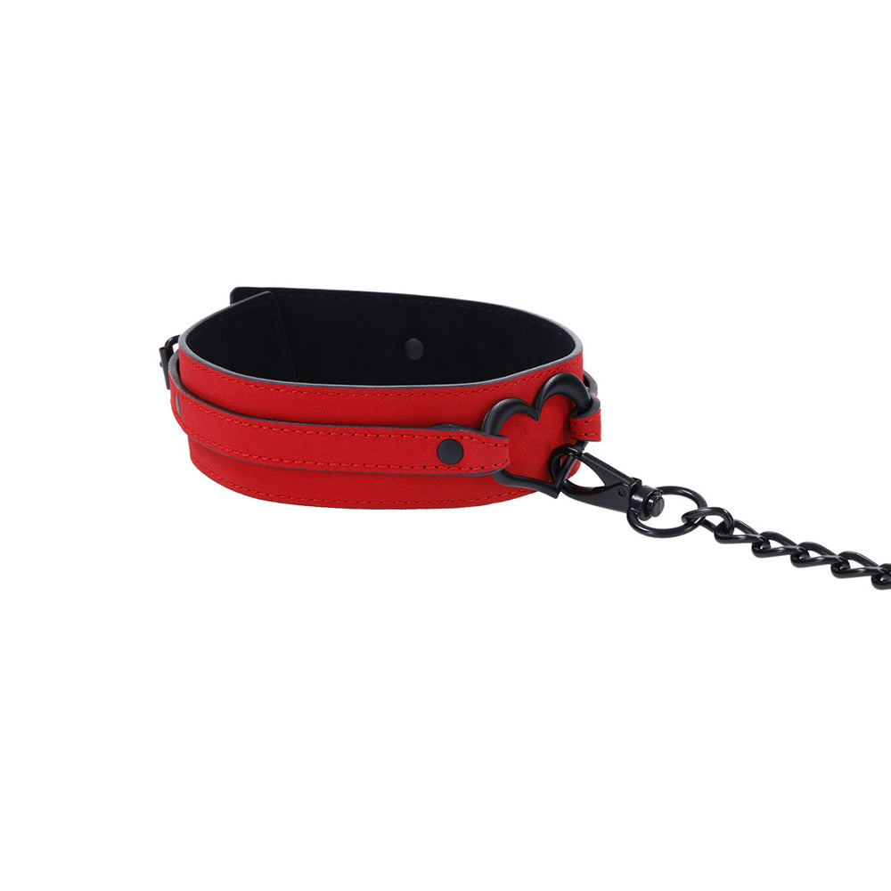 S&M Amor Collar and Leash
