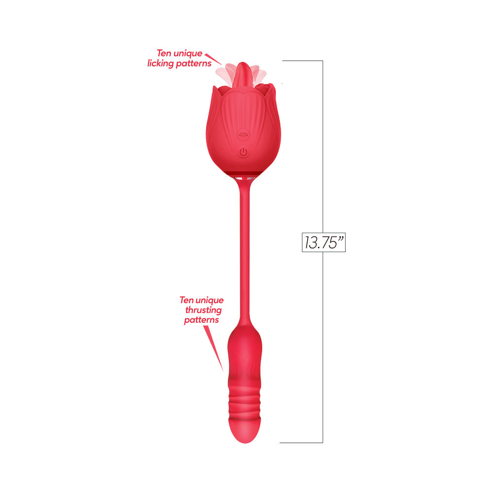 Wild Rose Tongue Thrusting