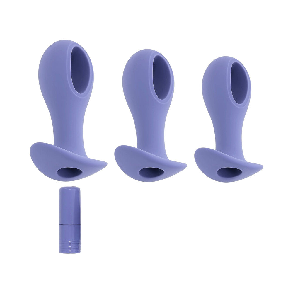 Evolved Hole Punch Anal Plug Set - Purple Set of 3