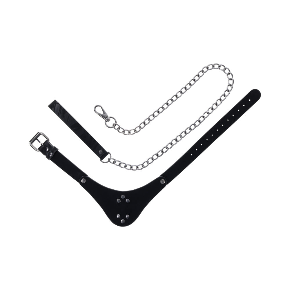 Sportsheets Velvet Noir Collar & Leash - Black