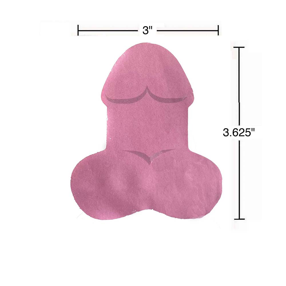 Super Fun Penis Sticky Notes