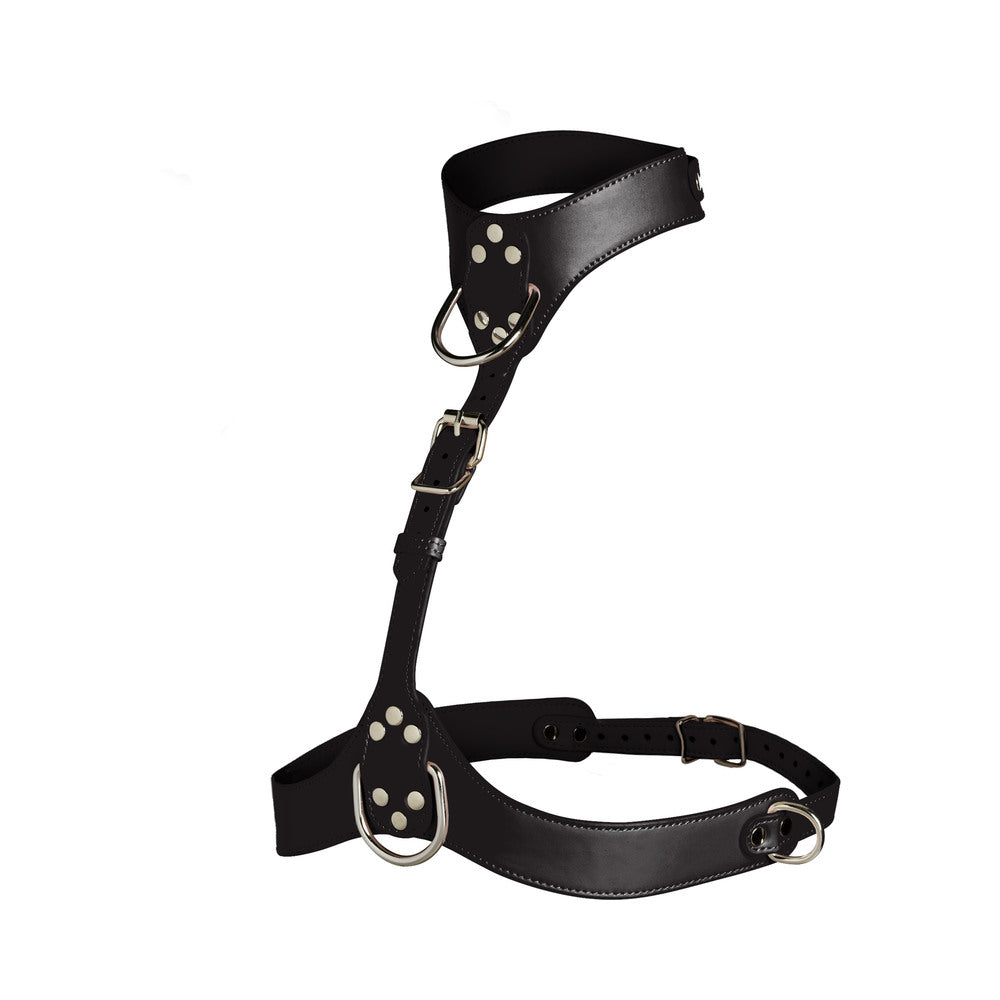 Vixen Female Chest Harness - Black