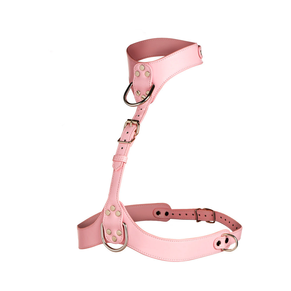 Vixen Female Chest Harness - Pink