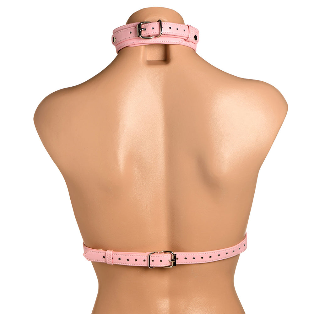 Vixen Female Chest Harness - Pink