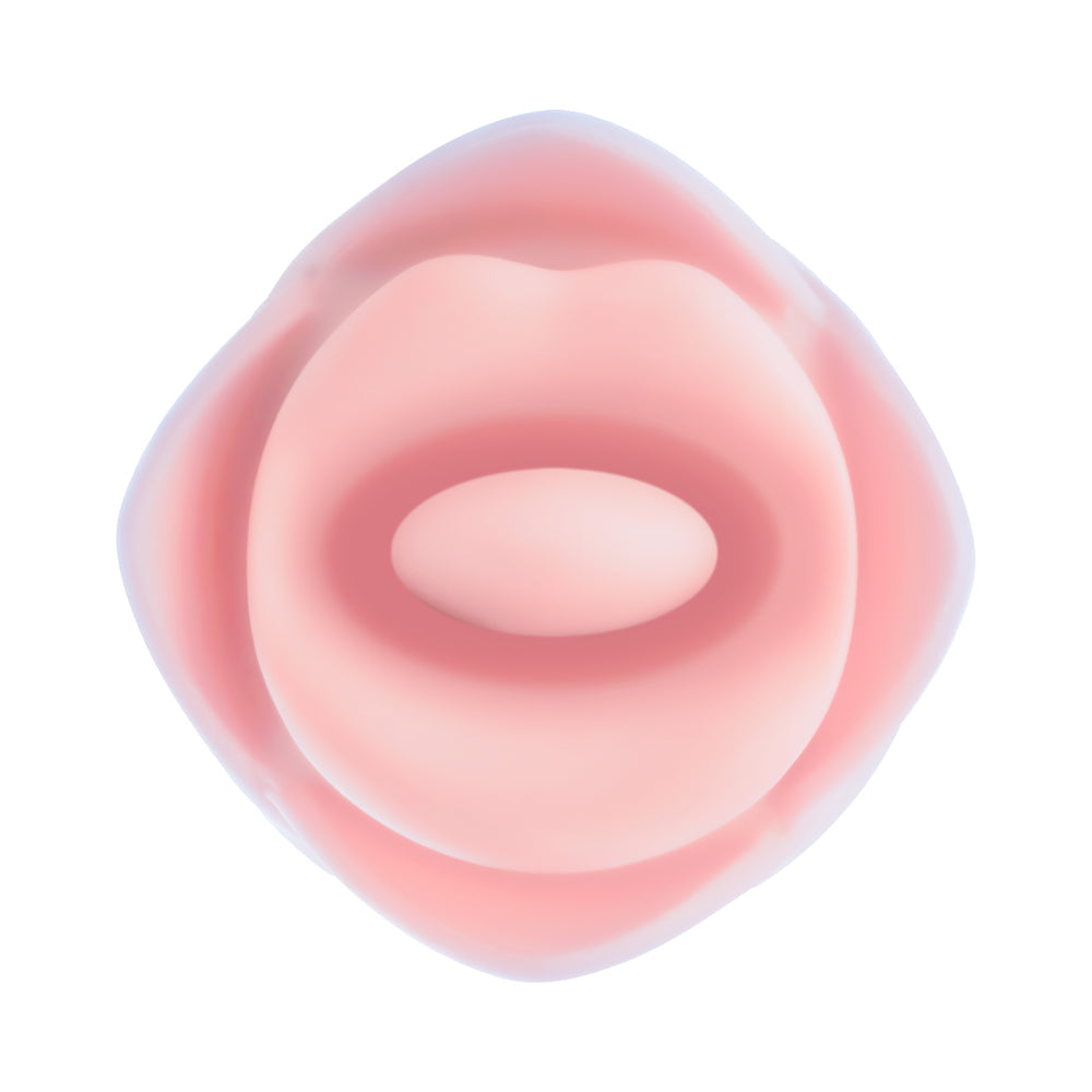Blush Collection Kissing Rose-Pink
