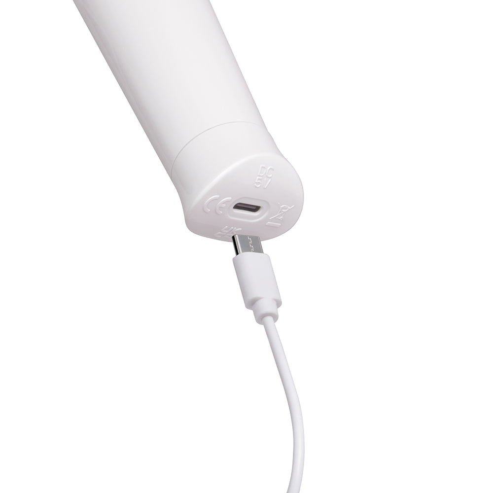 Le Wand Classique Petite Wand Massager