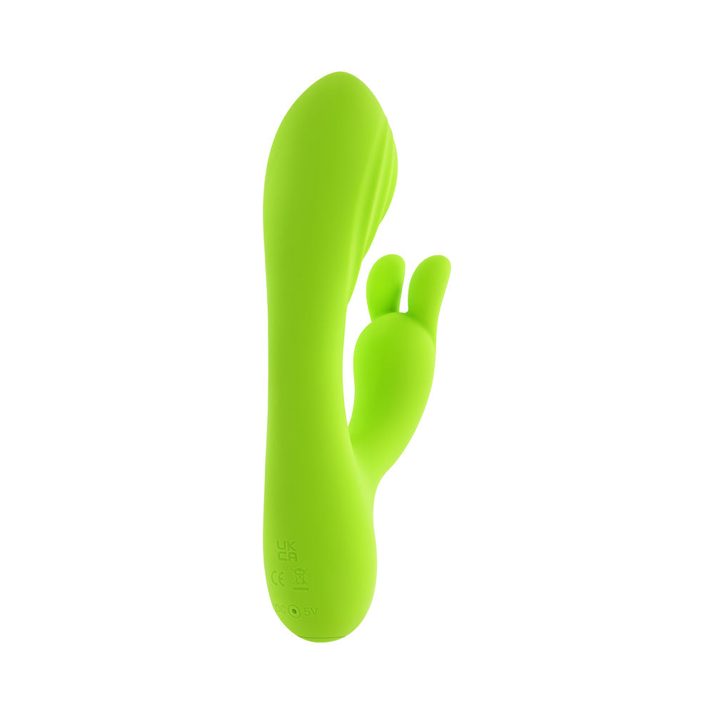Evolved Brat Bunny