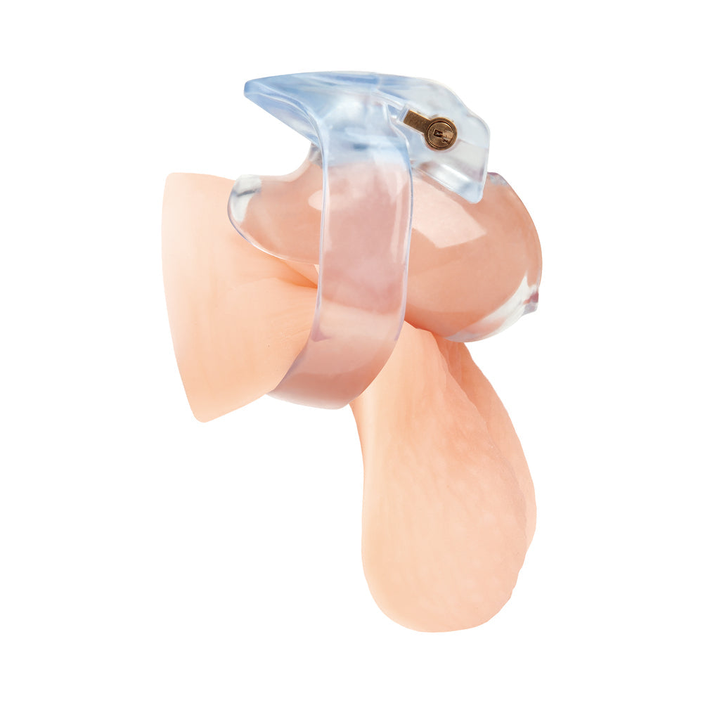 Small Dick Acrylic Mini Chastity Cage
