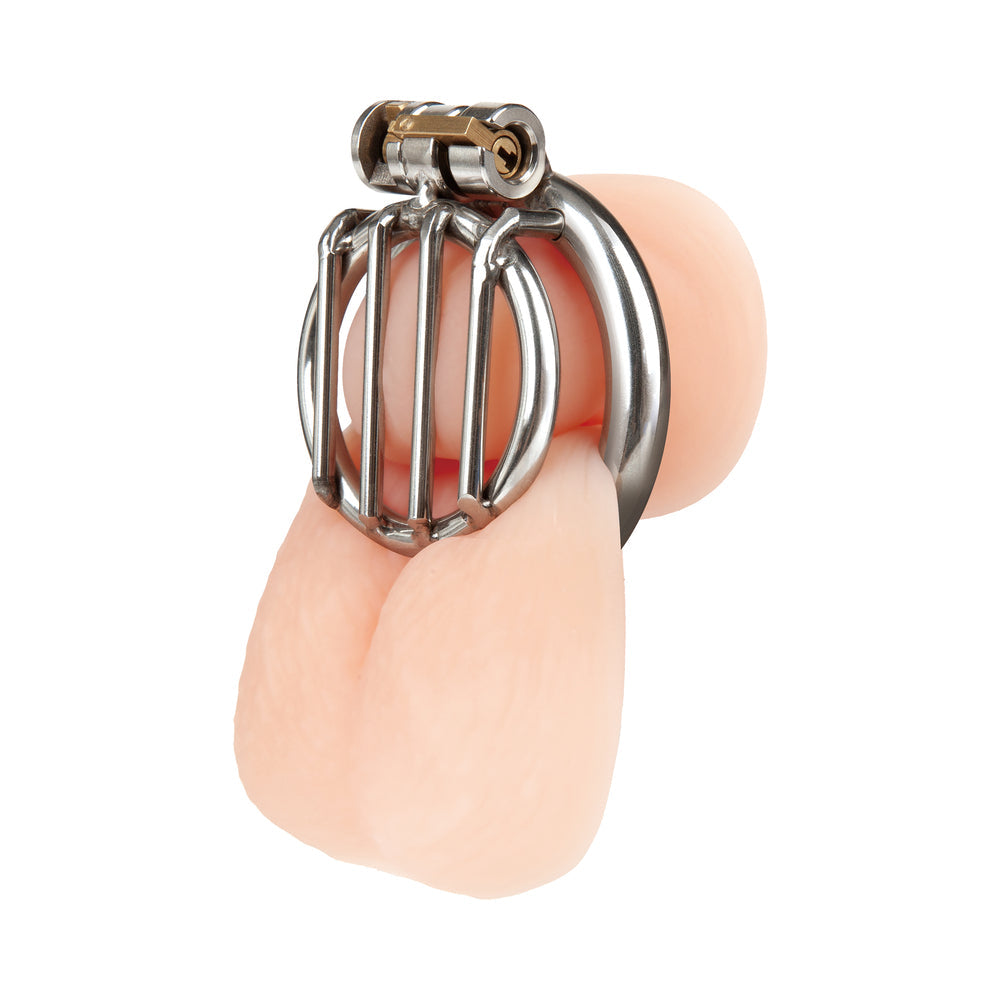 Stainless Steel Inverted Micro Jail Time Chastity Cage