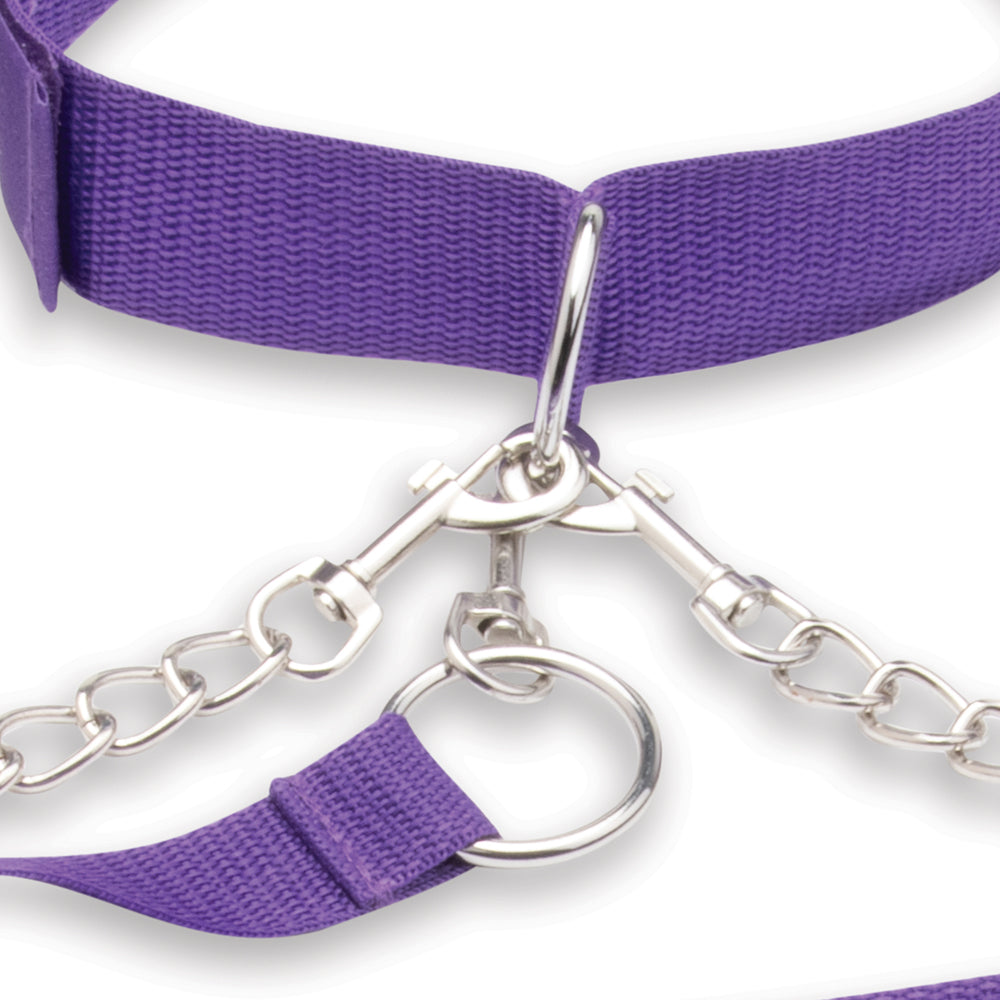 Lux Fetish Collar Cuffs & Leash Set - Removable Purple