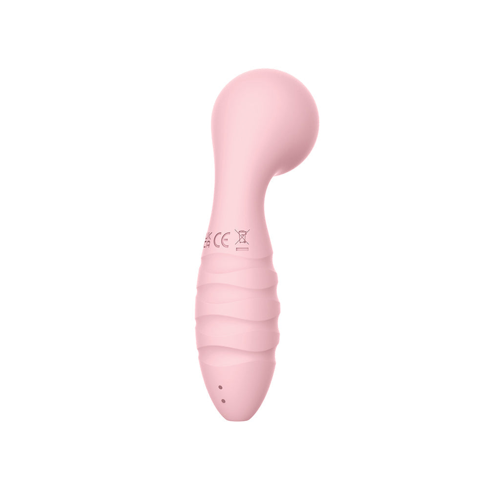 Sorbet Pinky