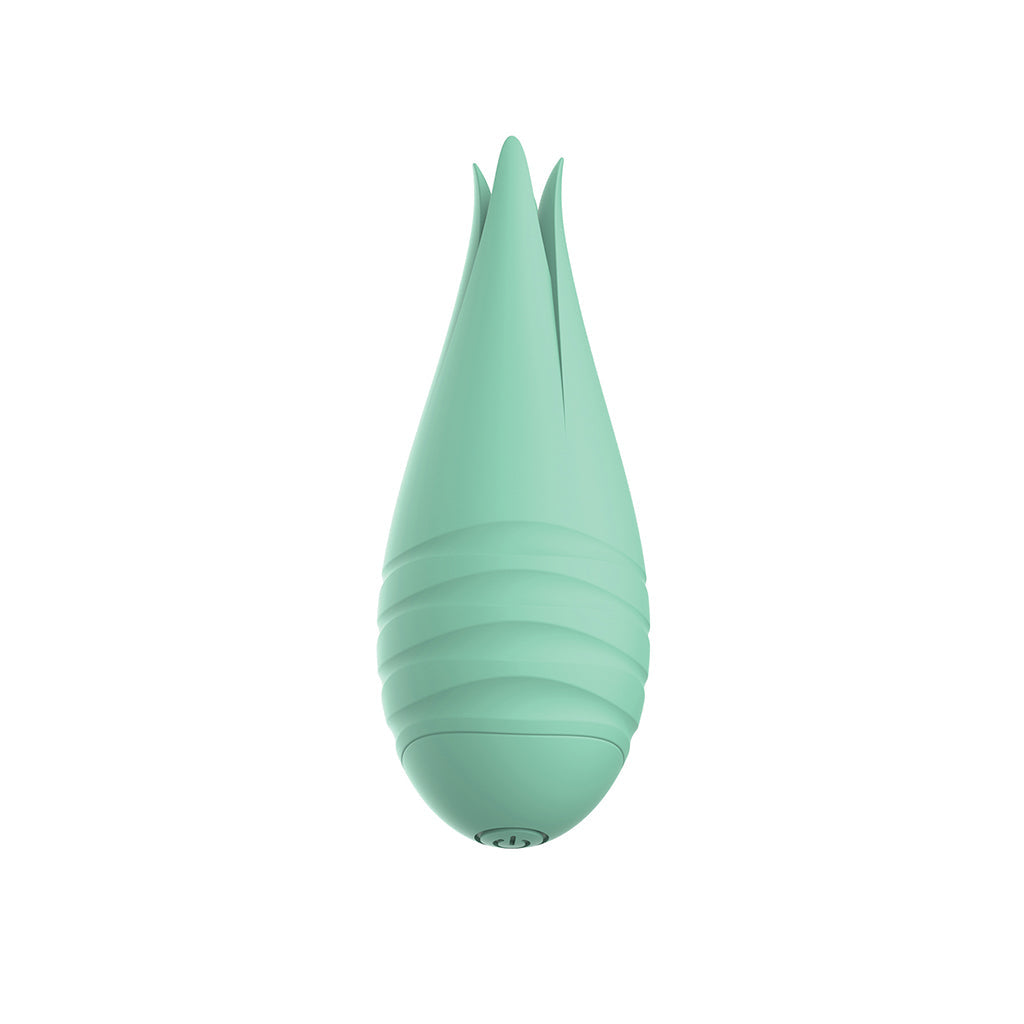 Sorbet Wiggle