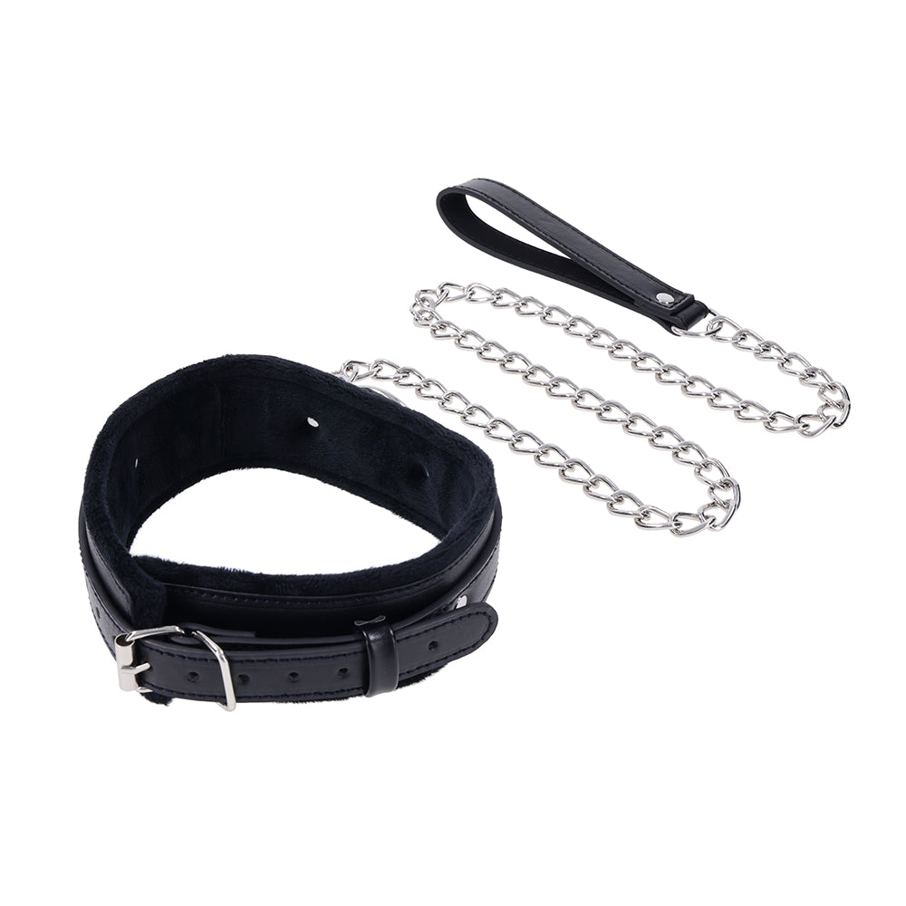 Shadow Collar and Leash