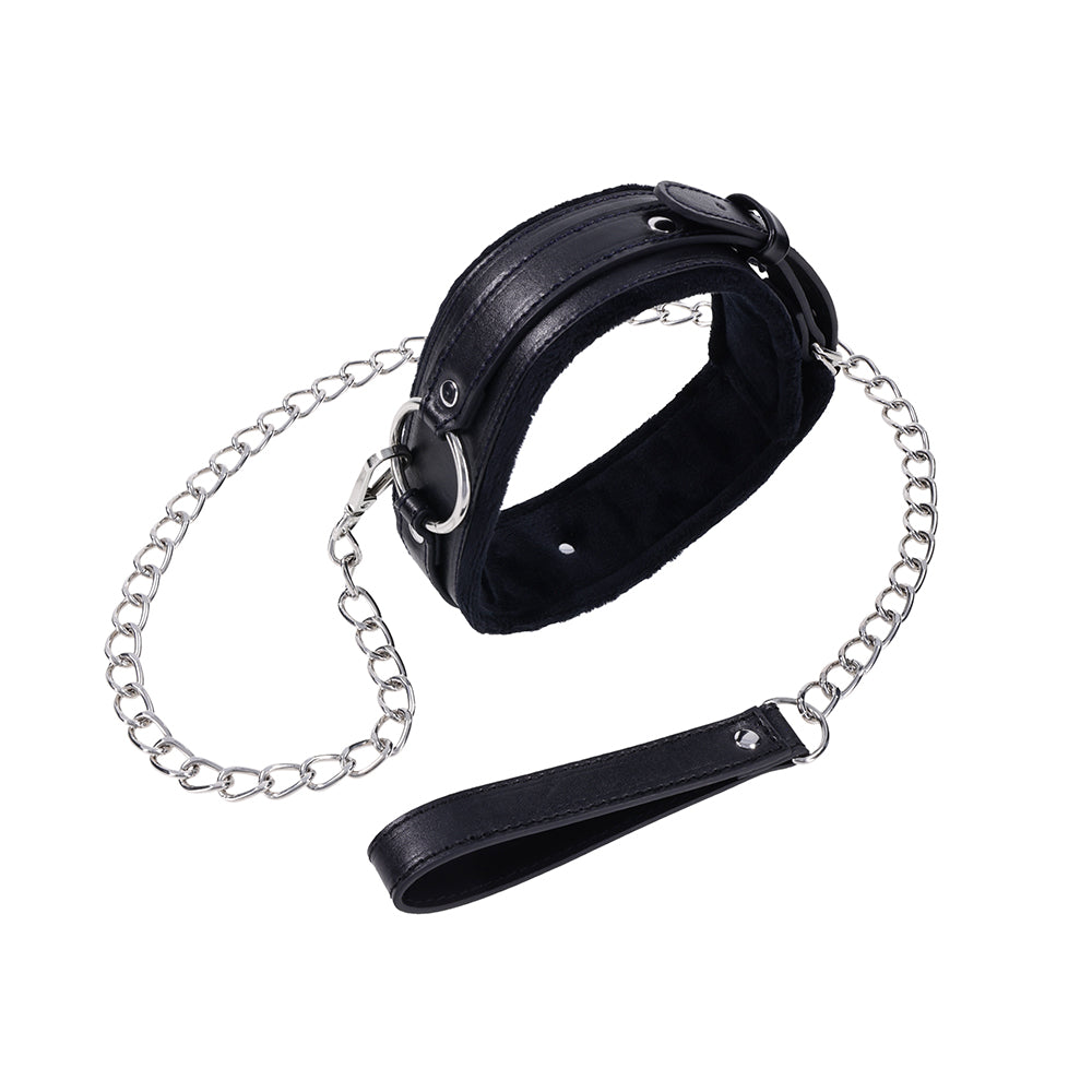 Shadow Collar and Leash