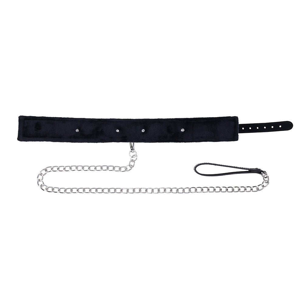 Shadow Collar and Leash