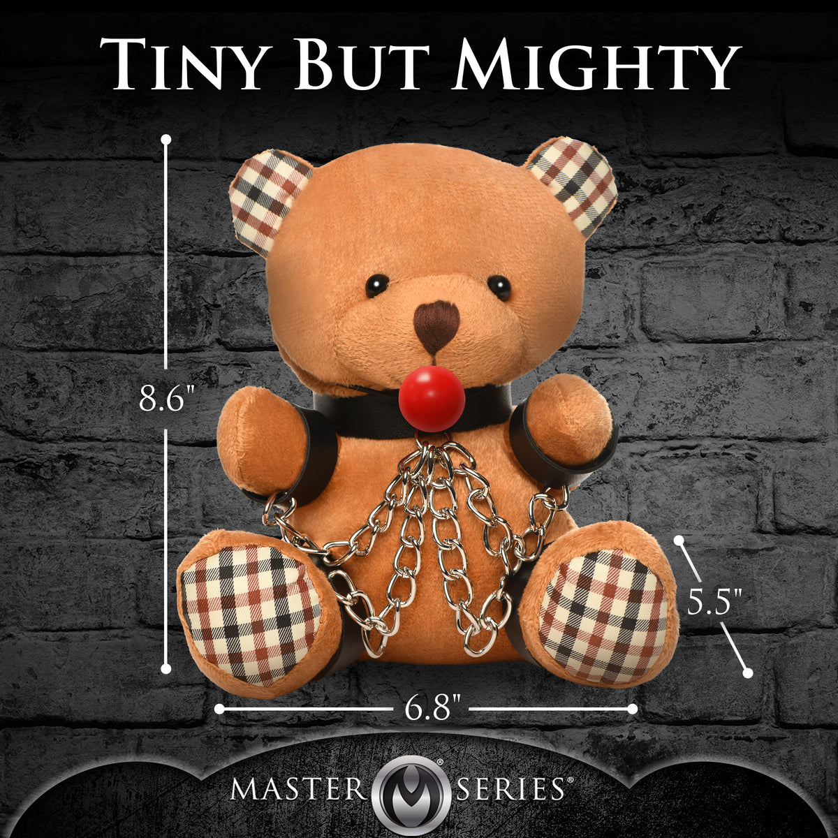 Master Series Gagged Teddy Bear Plush