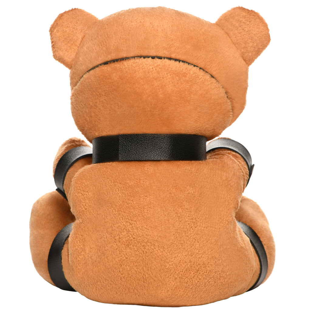 Master Series Gagged Teddy Bear Plush