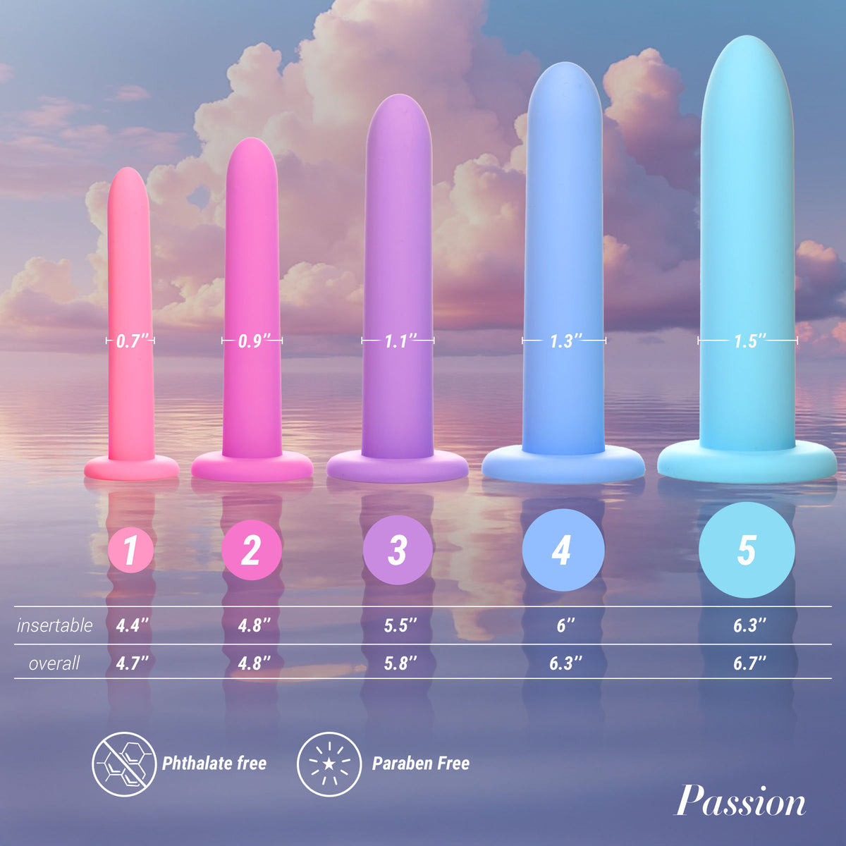 Passion Silicone Pelvic Kegel Exerciser Set