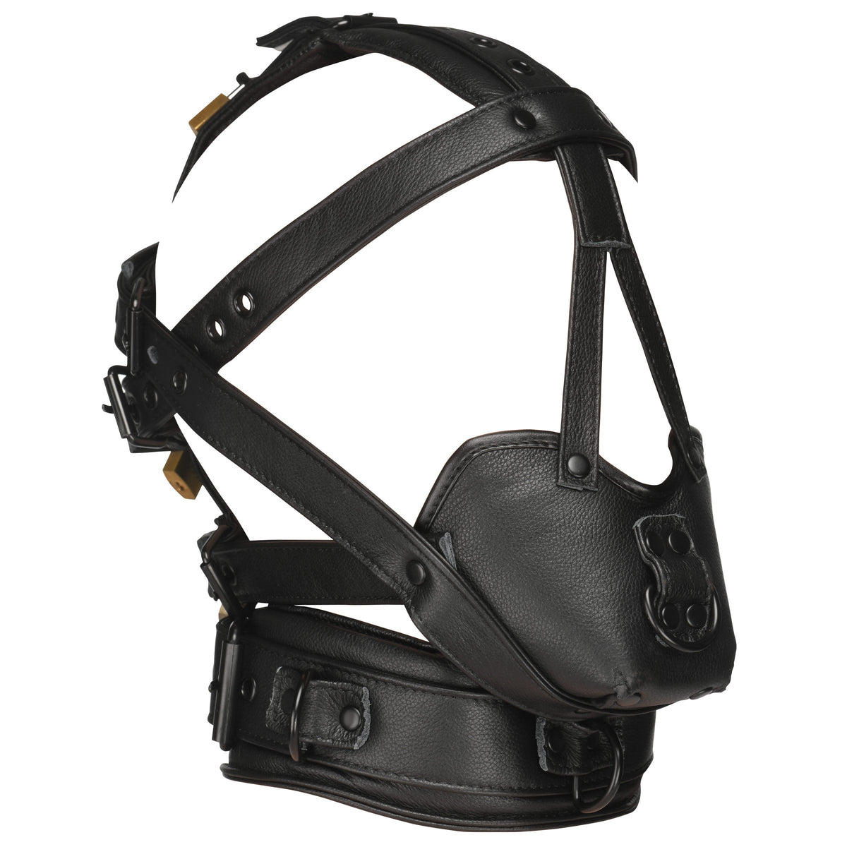 Leather Head Harness with Muzzle