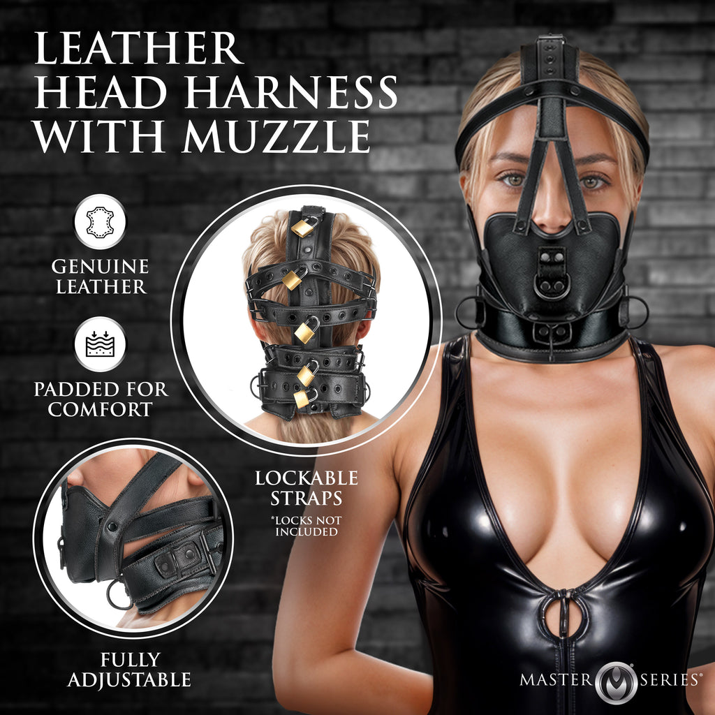 Leather Head Harness with Muzzle