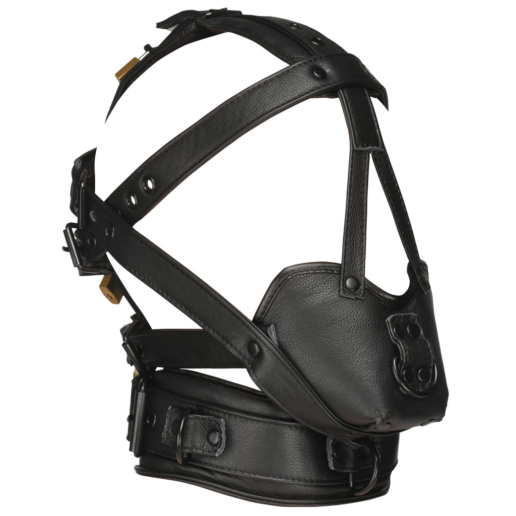 Lockable Head Harness with Muzzle