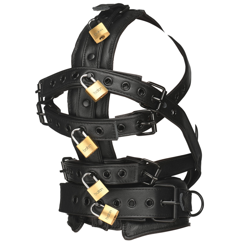 Lockable Head Harness with Muzzle