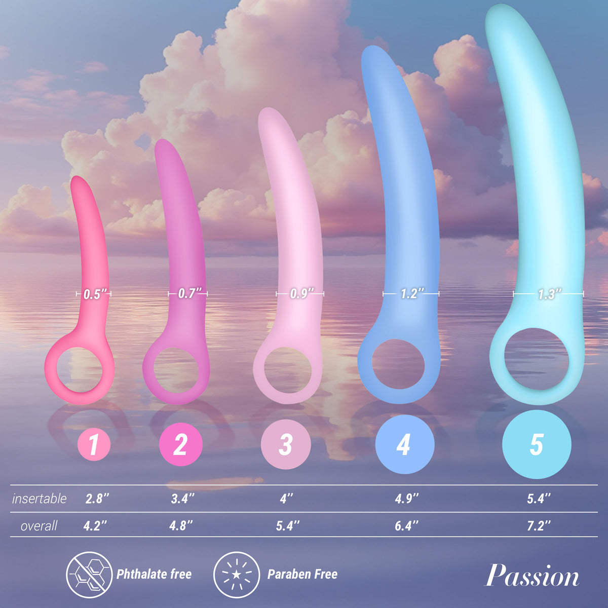 Passion Silicone Kegel Exerciser Set