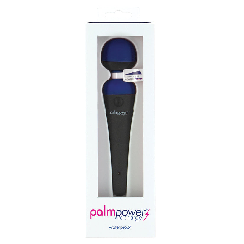 PalmPower Rechargeable Massager-Blue [WS $44.65]