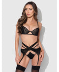 Snake Velvet-Burnout Mesh Bra, Garter, & Backless Hipster Set - Black SM